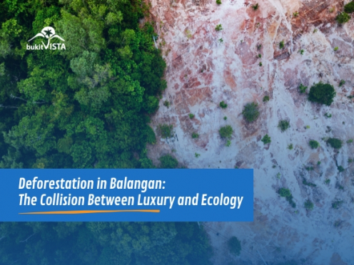 deforestation balangan